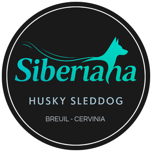 Logo Siberiana